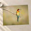 Colorful Bee Eater Bird Perched on Branch Photo Print (7 Sizes) - Shipped Flat