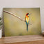 Colorful Bee Eater Bird Perched on Branch Photo Print (7 Sizes) - Shipped Flat