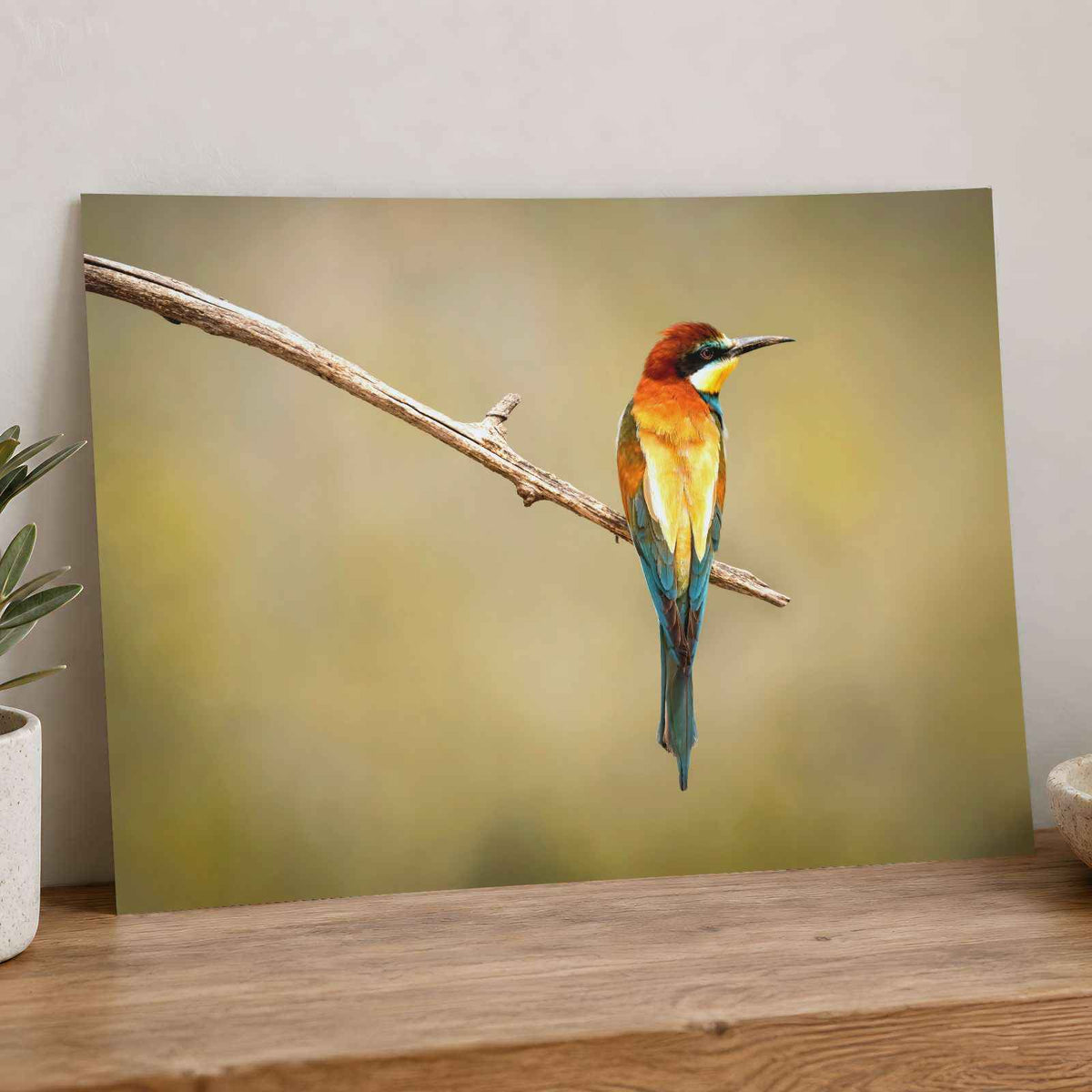 Colorful Bee Eater Bird Perched on Branch Photo Print (7 Sizes) - Shipped Flat