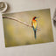 Colorful Bee Eater Bird Perched on Branch Photo Print (7 Sizes) - Shipped Flat