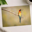 Colorful Bee Eater Bird Perched on Branch Photo Print (7 Sizes) - Shipped Flat