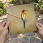Colorful Bee Eater Bird Perched on Branch Photo Print (7 Sizes) - Shipped Flat