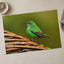 Green Bird Sitting on Top of Tree Branch Photographic Art Print (7 Sizes)