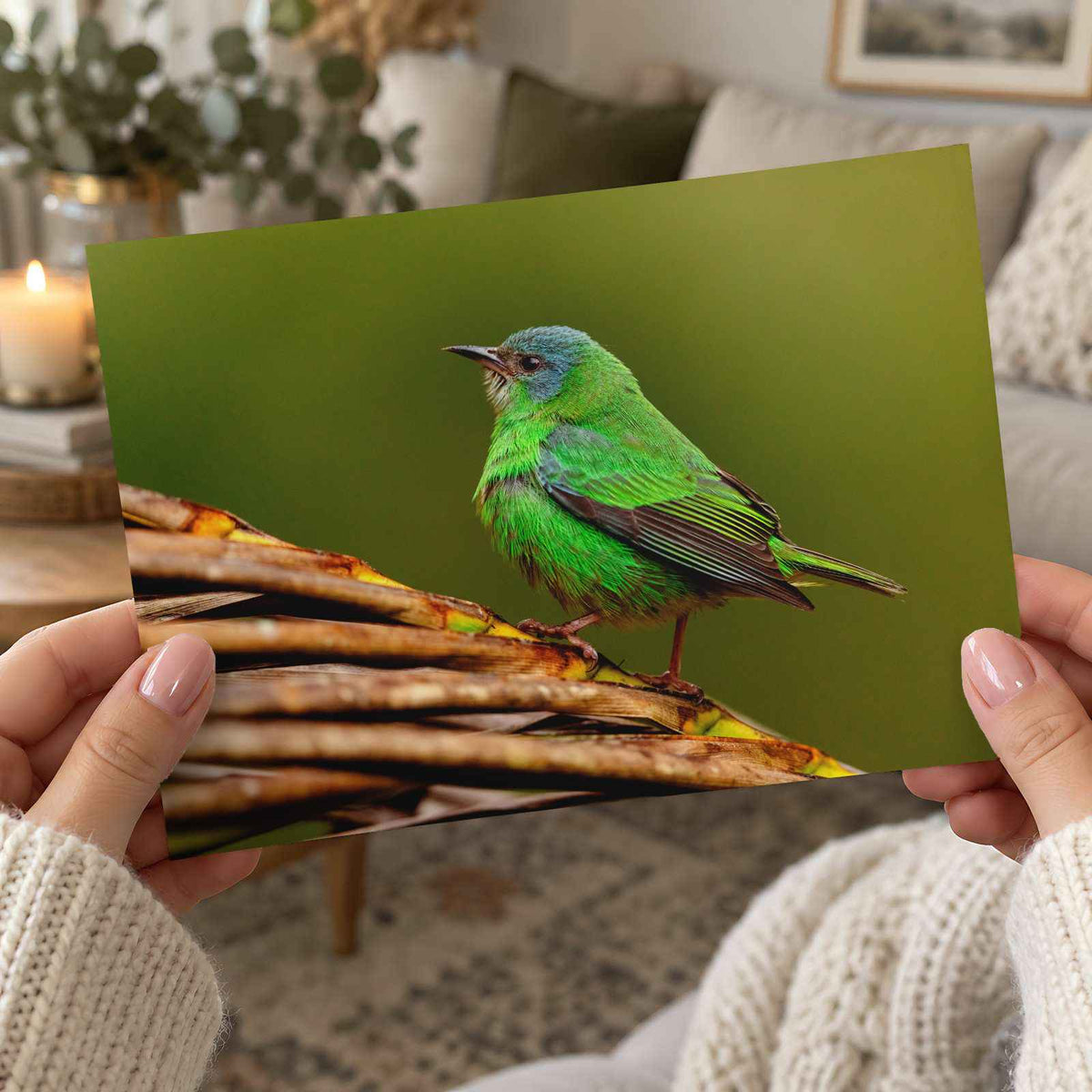 Green Bird Sitting on Top of Tree Branch Photographic Art Print (7 Sizes)