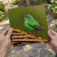 Green Bird Sitting on Top of Tree Branch Photographic Art Print (7 Sizes)