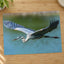Great Blue Heron in Flight Photography Print (7 Sizes) - High Quality