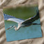 Great Blue Heron in Flight Photography Print (7 Sizes) - High Quality