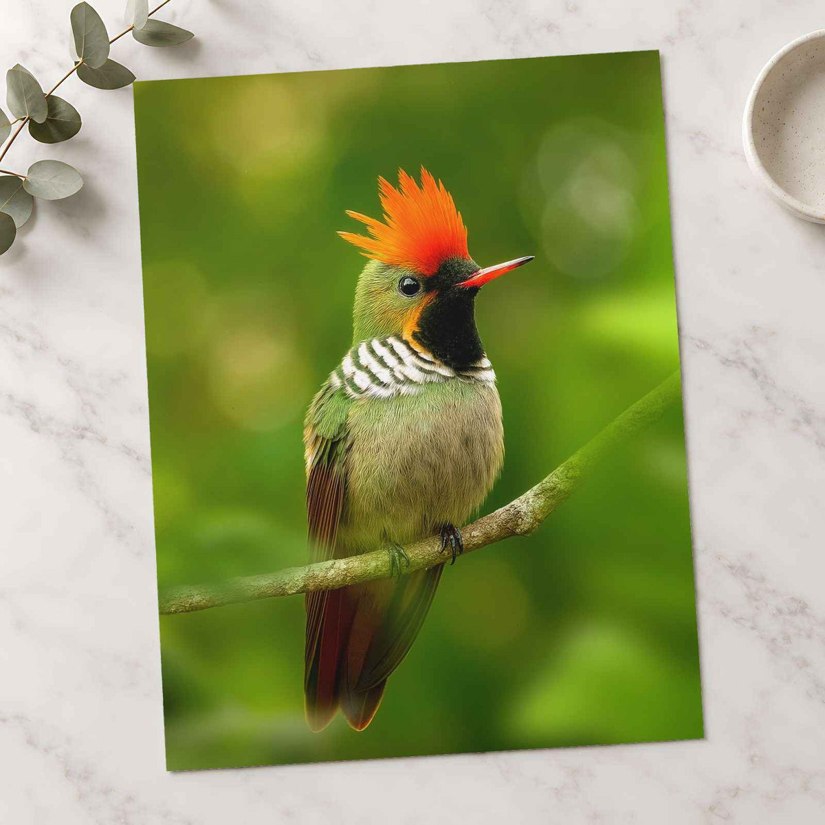 Green Bird with Orange Crest Sits on Branch Photo Print (7 Sizes) - Satin Luster