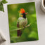 Green Bird with Orange Crest Sits on Branch Photo Print (7 Sizes) - Satin Luster