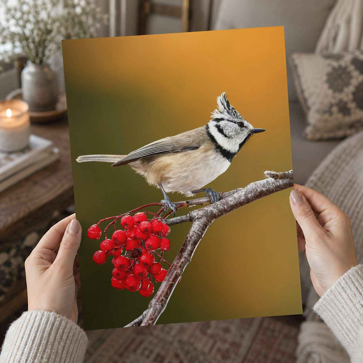 Crested Tit Perched with Red Berries Photo Print (7 Sizes) - Satin Luster