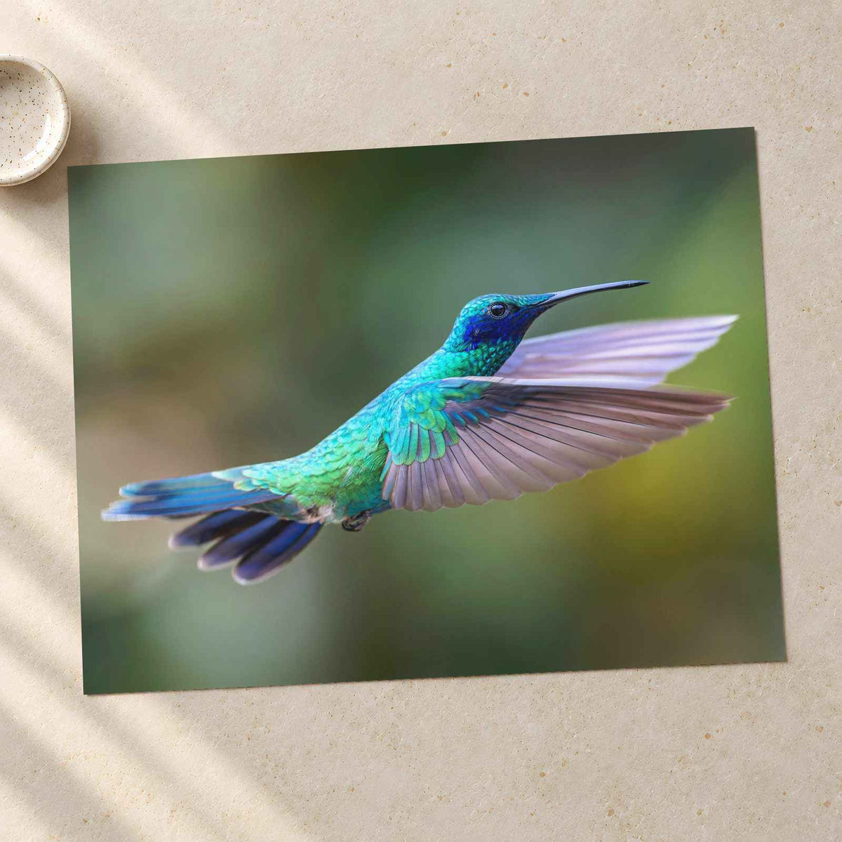 Hummingbird Flying with Its Wings Spread Photo Wall Art (7 Sizes) - Satin Luster