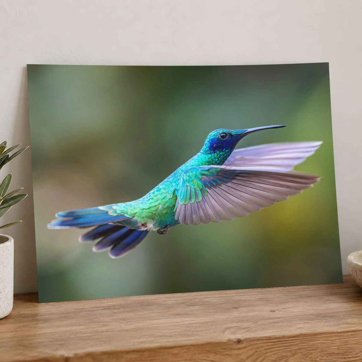 Hummingbird Flying with Its Wings Spread Photo Wall Art (7 Sizes) - Satin Luster