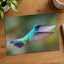 Hummingbird Flying with Its Wings Spread Photo Wall Art (7 Sizes) - Satin Luster