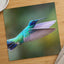 Hummingbird Flying with Its Wings Spread Photo Wall Art (7 Sizes) - Satin Luster