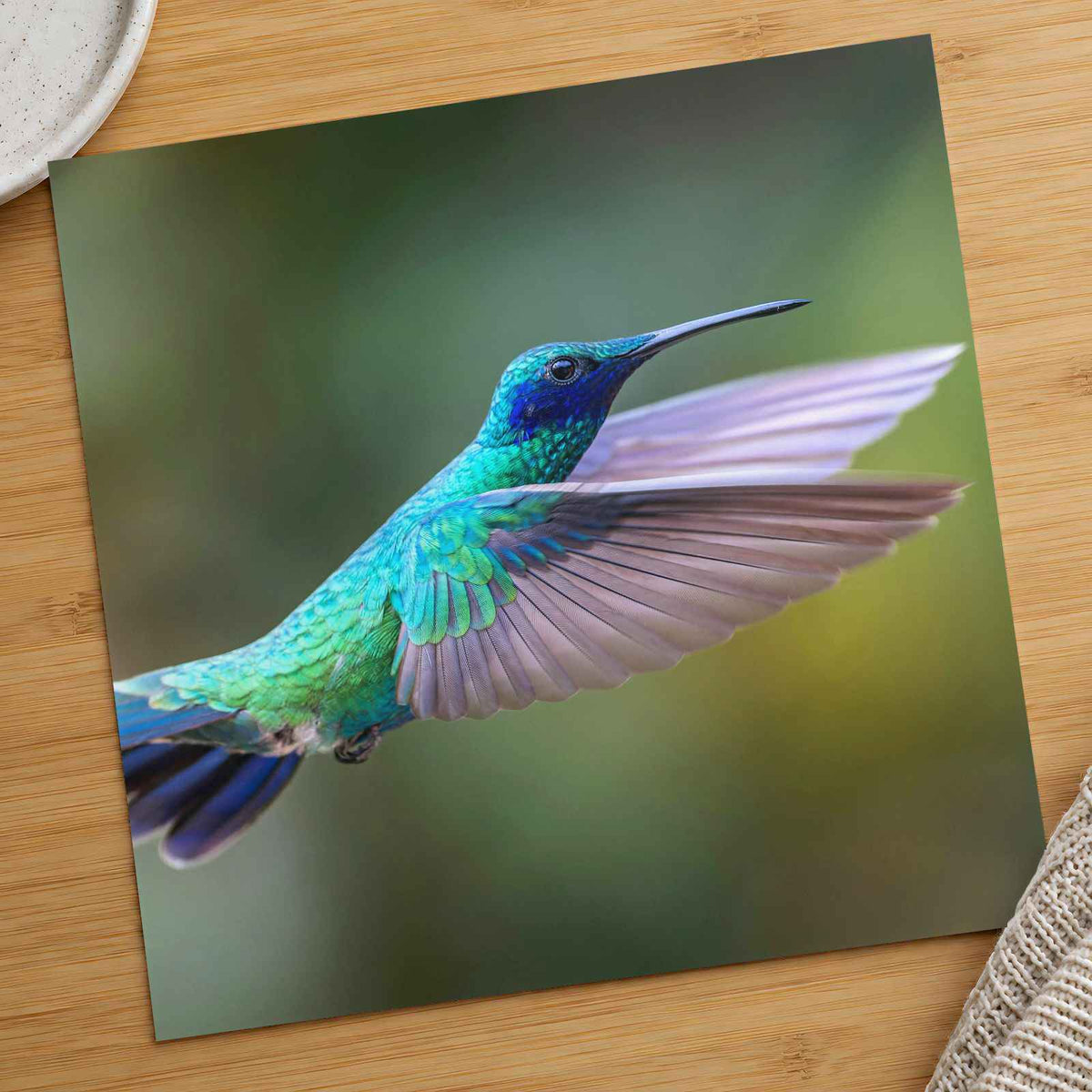 Hummingbird Flying with Its Wings Spread Photo Wall Art (7 Sizes) - Satin Luster
