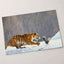 Tiger Lunging at a Pheasant in Snow Photo Print (4 Sizes) - Printed in USA