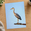 Grey Heron Stands Perched on Metal Structure Photographic Art Print (7 Sizes)
