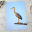 Grey Heron Stands Perched on Metal Structure Photographic Art Print (7 Sizes)
