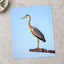 Grey Heron Stands Perched on Metal Structure Photographic Art Print (7 Sizes)