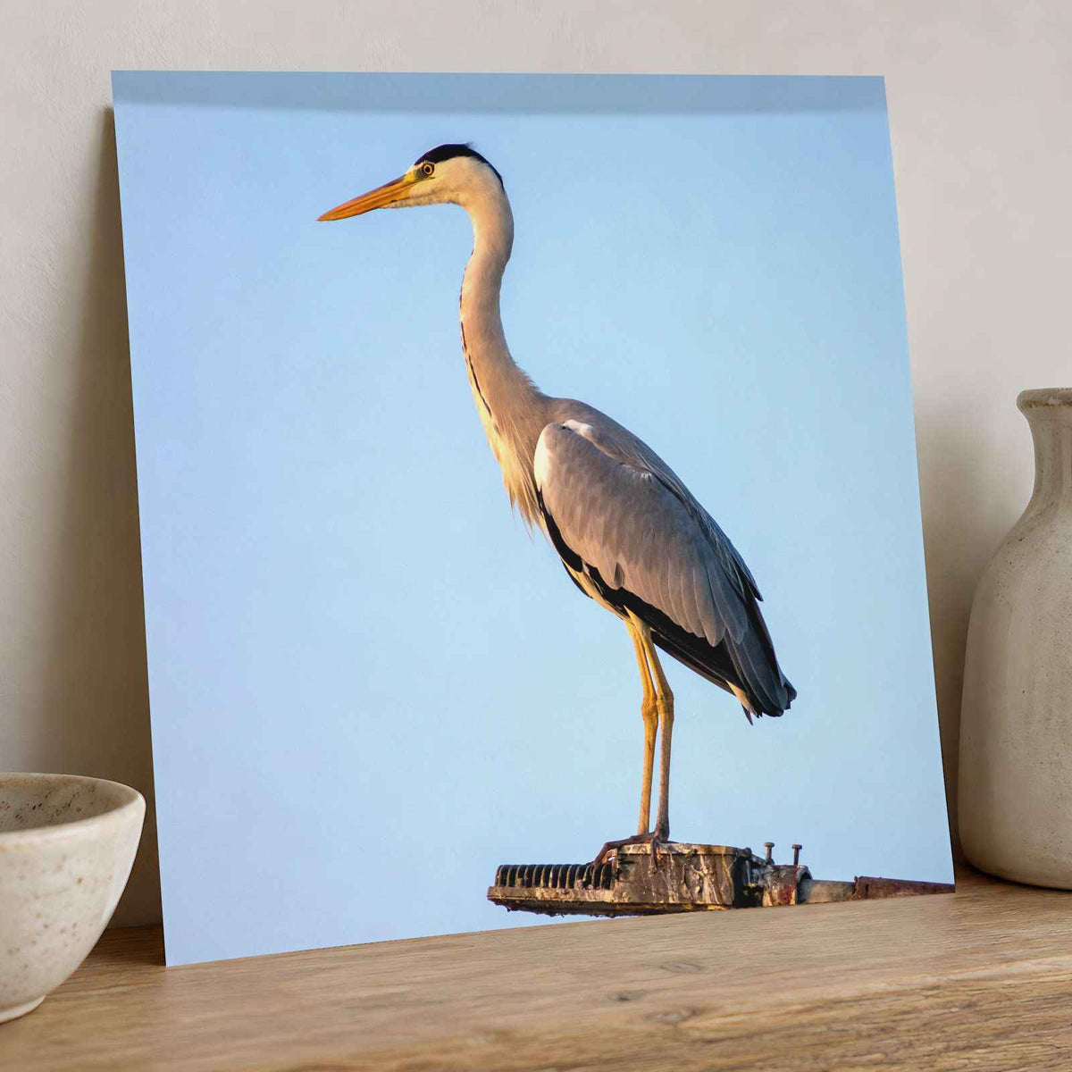 Grey Heron Stands Perched on Metal Structure Photographic Art Print (7 Sizes)