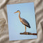 Grey Heron Stands Perched on Metal Structure Photographic Art Print (7 Sizes)