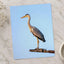 Grey Heron Stands Perched on Metal Structure by Sonika Agarwal Photo Print Wall Decor