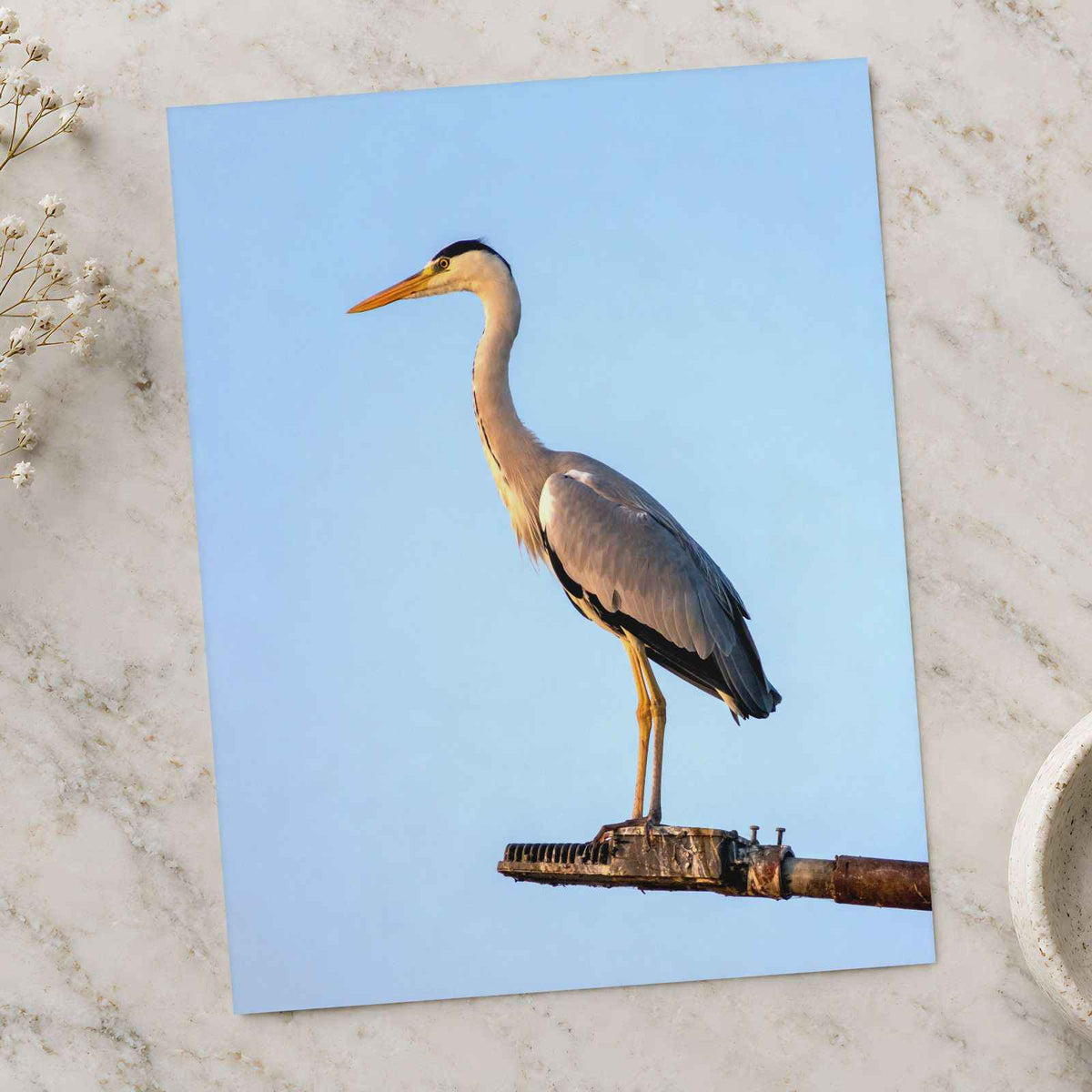 Grey Heron Stands Perched on Metal Structure by Sonika Agarwal Photo Print Wall Decor