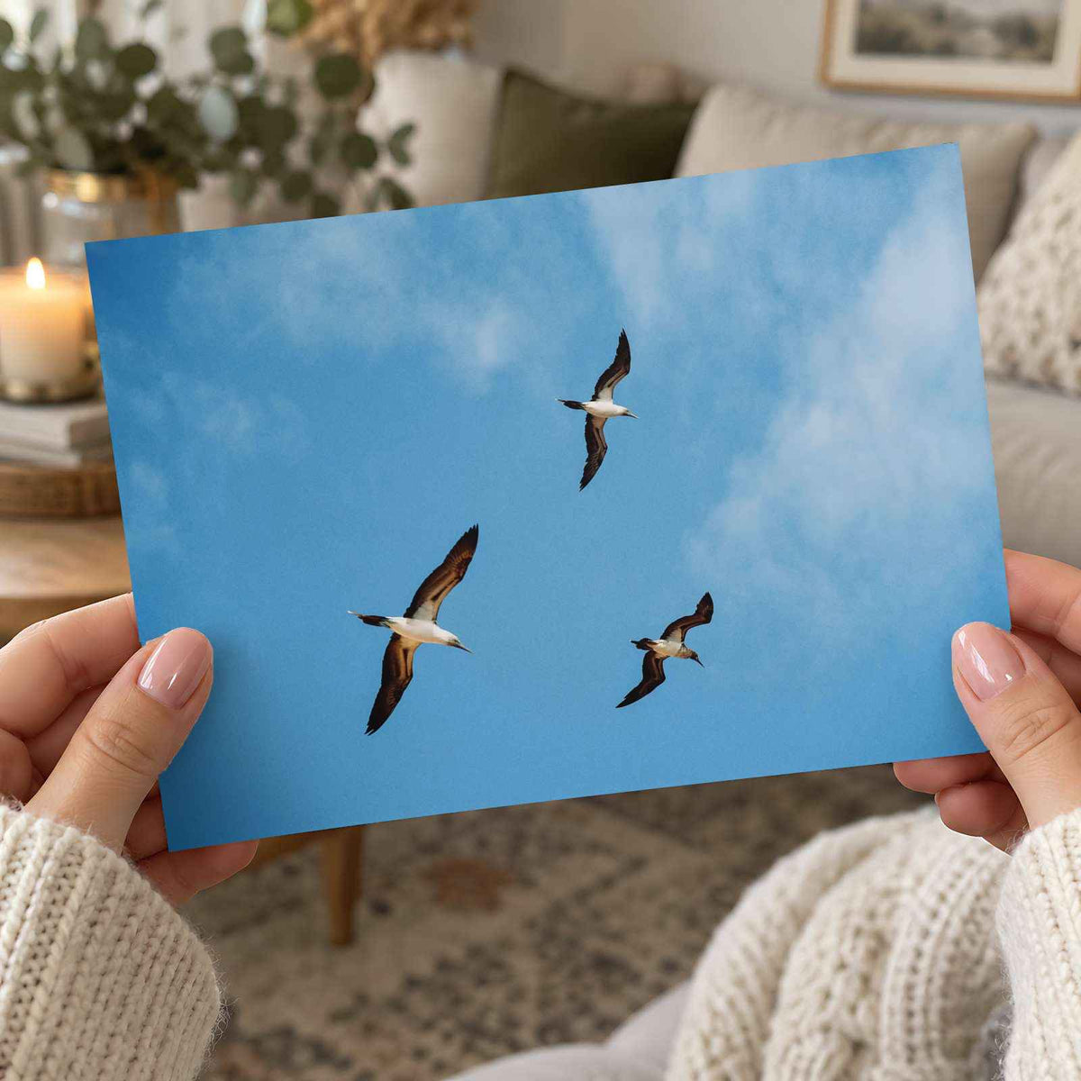 Three Birds Flying in Clear Blue Sky Photo Wall Print (4 Sizes) - High Quality