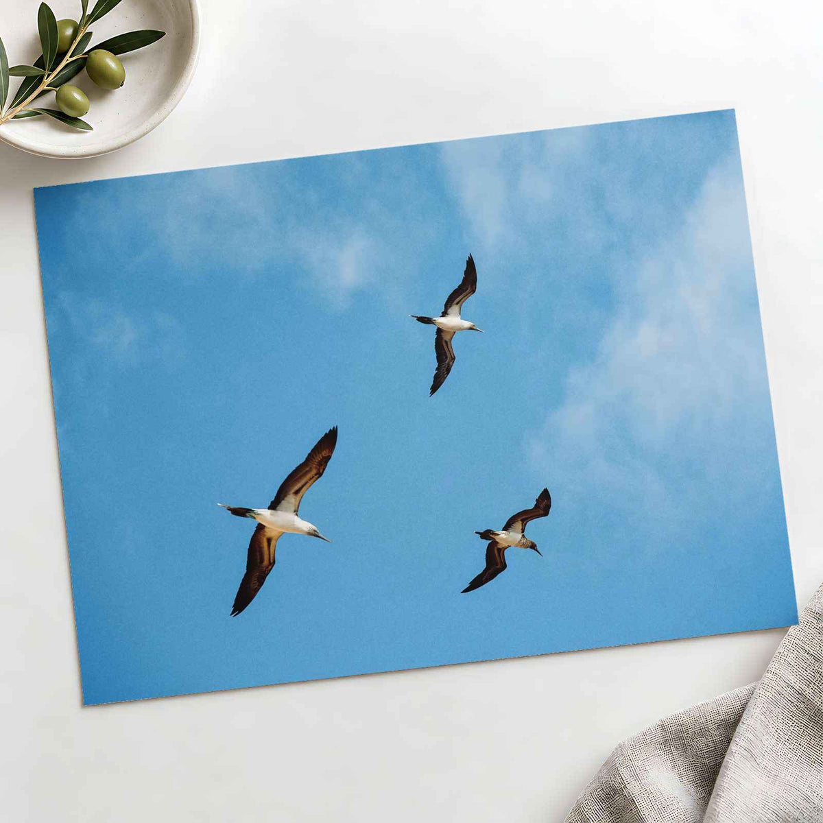 Three Birds Flying in Clear Blue Sky Photo Wall Print (4 Sizes) - High Quality