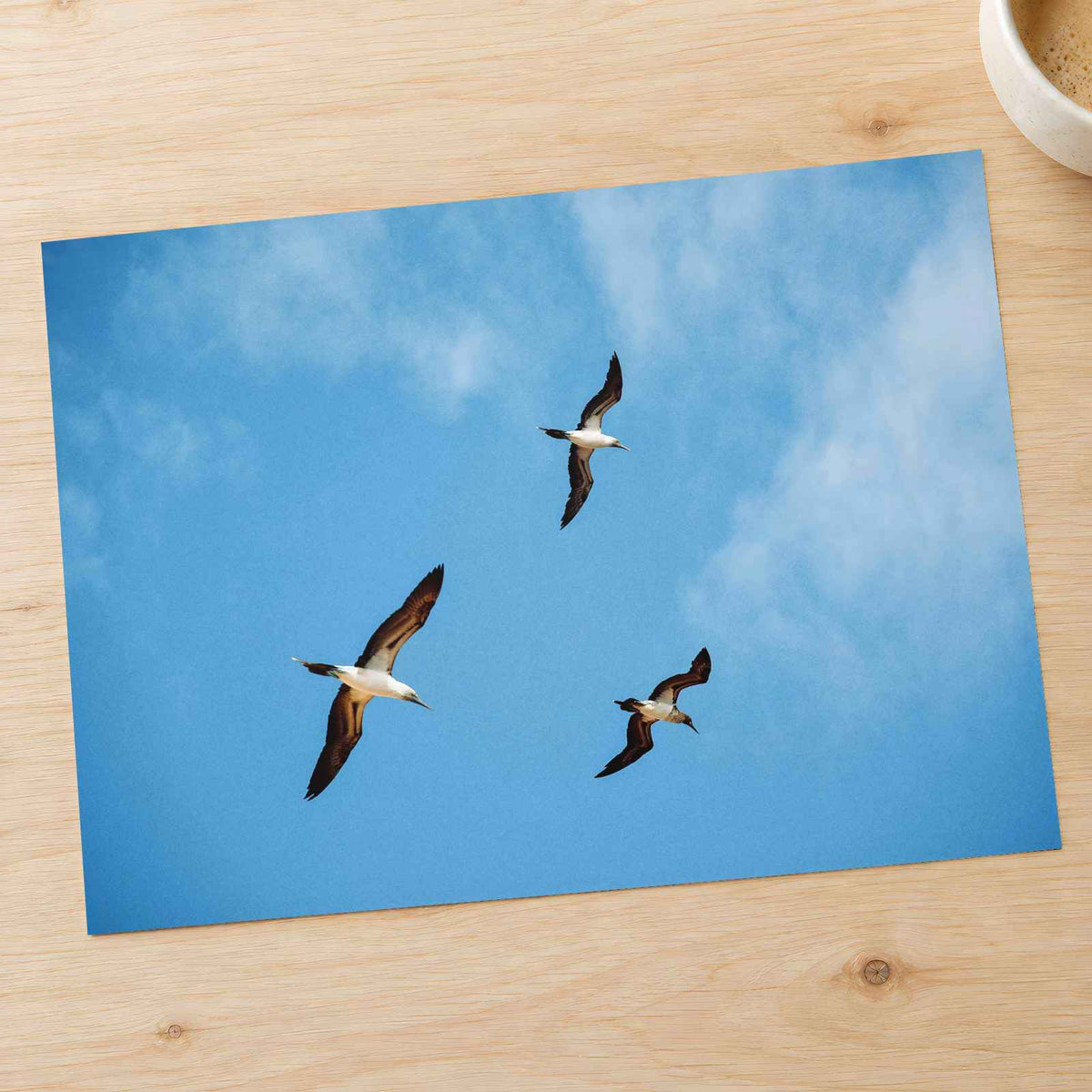 Three Birds Flying in Clear Blue Sky Photo Wall Print (4 Sizes) - High Quality