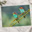 Two Colorful European Bee-Eaters Photography Print (7 Sizes) - High Quality