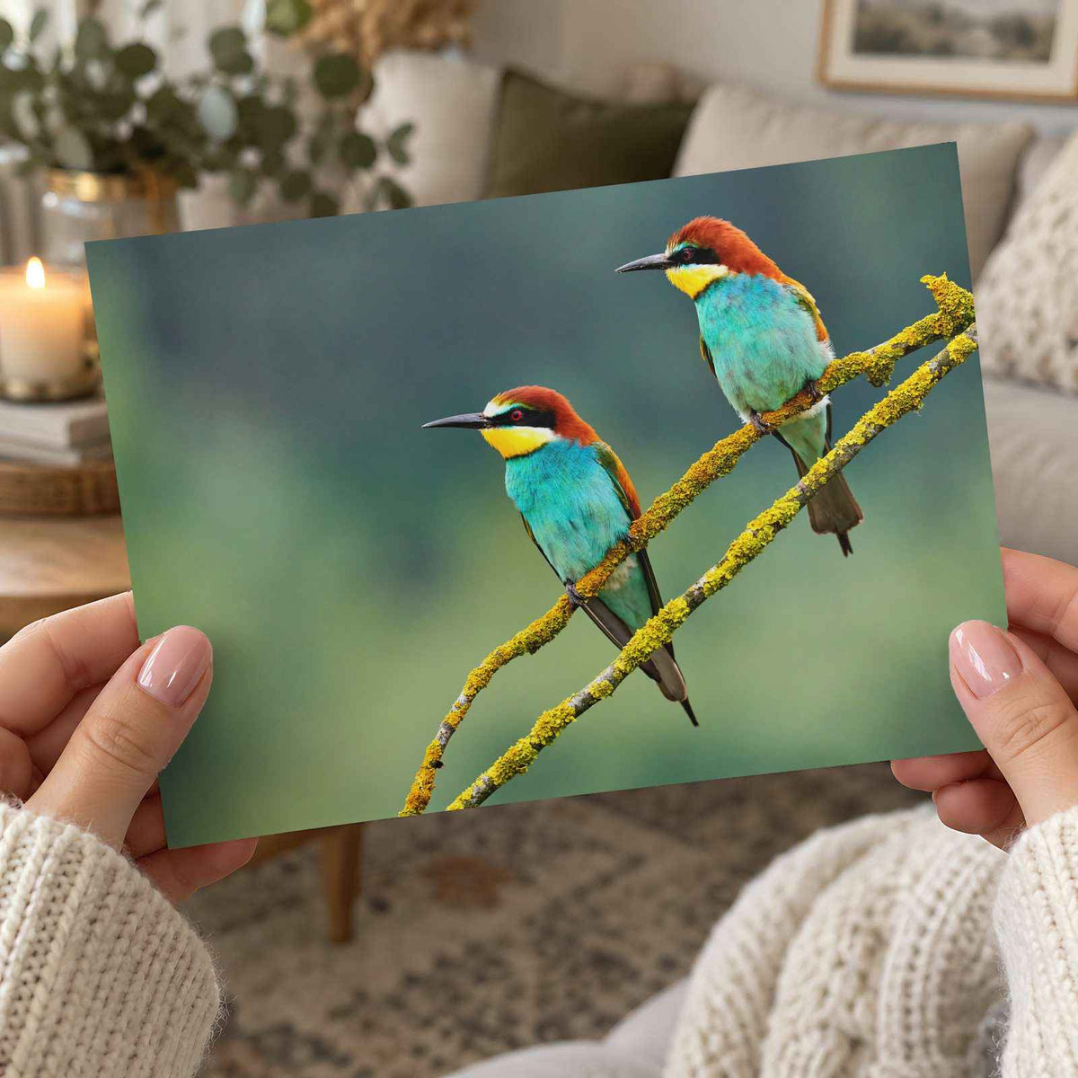 Two Colorful European Bee-Eaters Photography Print (7 Sizes) - High Quality