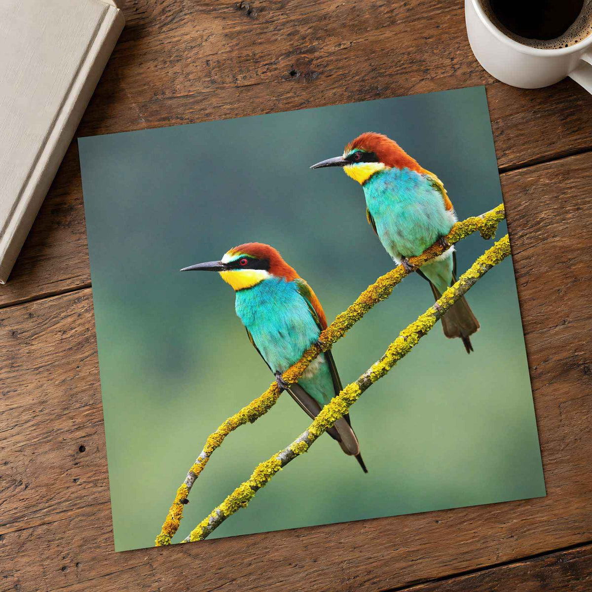 Two Colorful European Bee-Eaters Photography Print (7 Sizes) - High Quality
