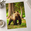 Wild Brown Bear Walking in Taiga Forest Photography Print (7 Sizes) - Frameable