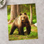 Wild Brown Bear Walking in Taiga Forest Photography Print (7 Sizes) - Frameable