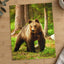 Wild Brown Bear Walking in Taiga Forest Photography Print (7 Sizes) - Frameable