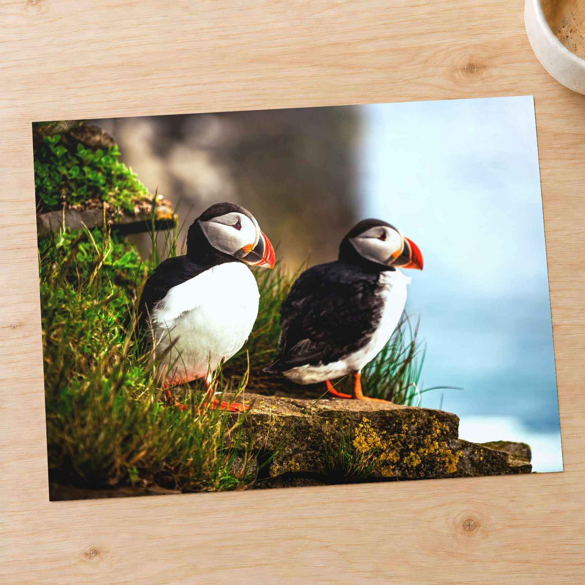 Two Atlantic Puffins on Grassy Cliff Photography Print (7 Sizes) - Heavyweight