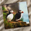 Two Atlantic Puffins on Grassy Cliff Photography Print (7 Sizes) - Heavyweight
