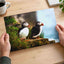 Two Atlantic Puffins on Grassy Cliff Photography Print (7 Sizes) - Heavyweight