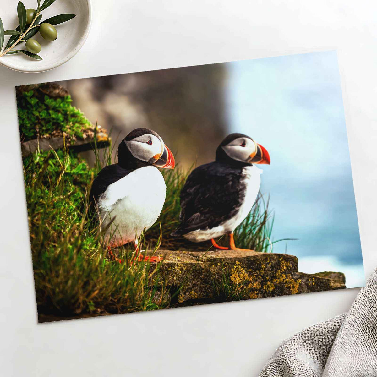 Two Atlantic Puffins on Grassy Cliff Photo Print Wall Decor