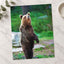 Young Brown Bear Standing Photography Print (7 Sizes) - Ready to Frame