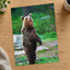 Young Brown Bear Standing Photography Print (7 Sizes) - Ready to Frame