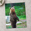 Young Brown Bear Standing Photography Print (7 Sizes) - Ready to Frame
