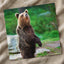 Young Brown Bear Standing Photography Print (7 Sizes) - Ready to Frame