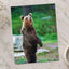 Young Brown Bear Standing Photo Print Wall Decor