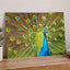 Peacock with Its Feathers Spread Out Photo Print (7 Sizes) - Frameable