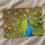 Peacock with Its Feathers Spread Out Photo Print (7 Sizes) - Frameable