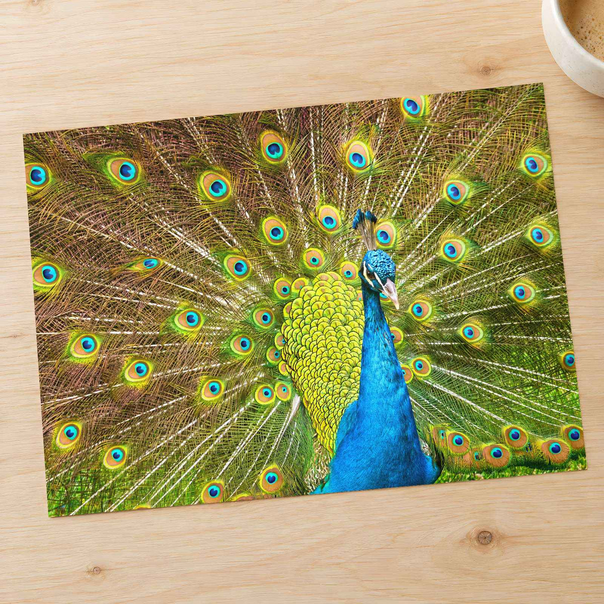 Peacock with Its Feathers Spread Out Photo Print (7 Sizes) - Frameable