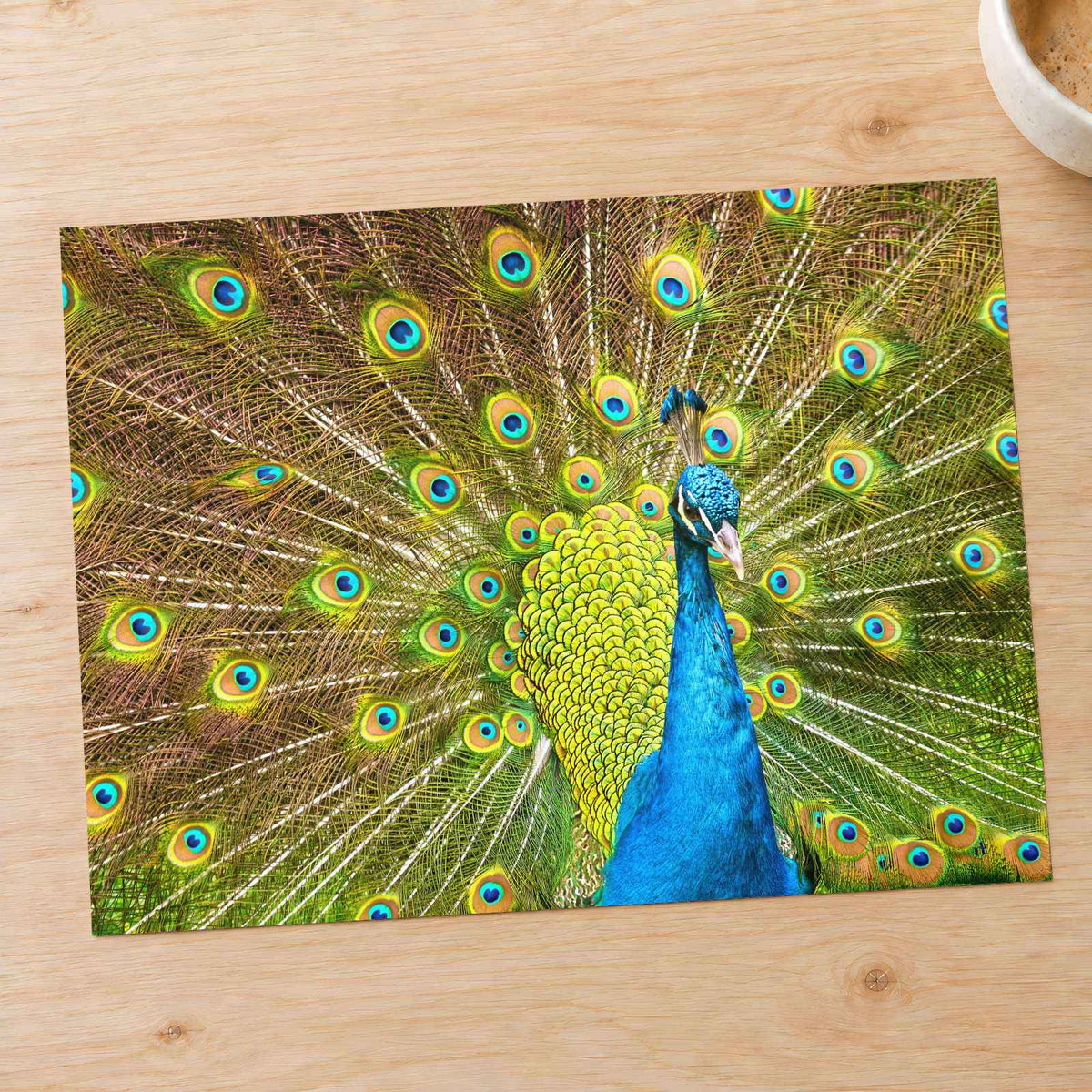 Peacock with Its Feathers Spread Out by Zdeněk Macháček Photo Print Wall Decor
