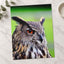 Beautiful European Eagle Owl Photography Print (7 Sizes) - Satin Luster